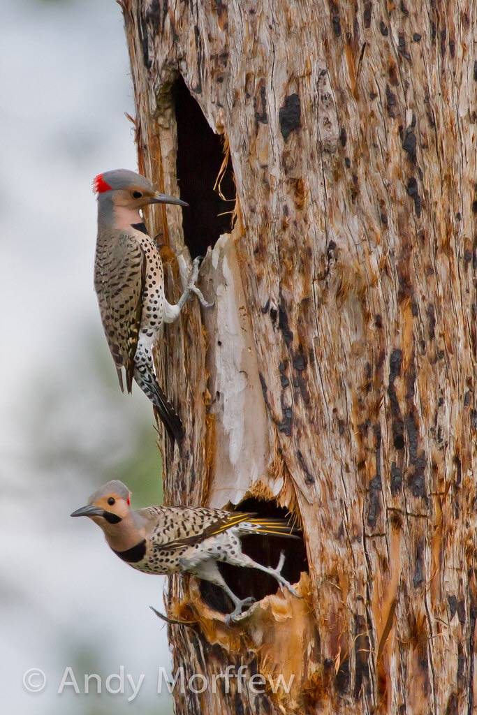 Changing Shift by Andy Morffew is licensed under CC BY 2.0.